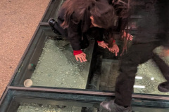 g7