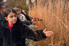Royal Botanic Gardens visit